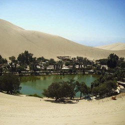 Paracas Ica Exclusivo