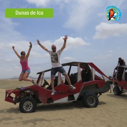 Paracas Ica Exclusivo Plus