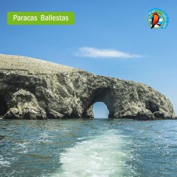 copy of Paracas Ballestas Huacachina Tours