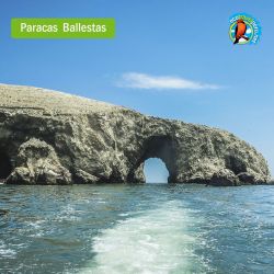 Paracas Ica Estándar