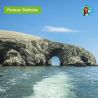 PARACAS ICAS Full Day