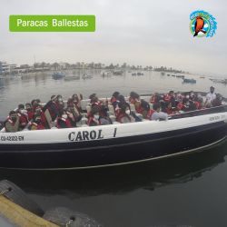 Paracas Ica Estándar