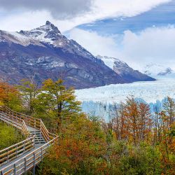 Patagonia Fotográfica: La Magia del Otoño 2026