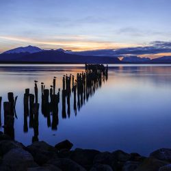 copy of Patagonia Otoñal