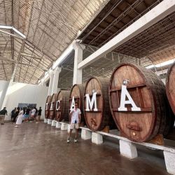 Paracas Ica con Viñedo...