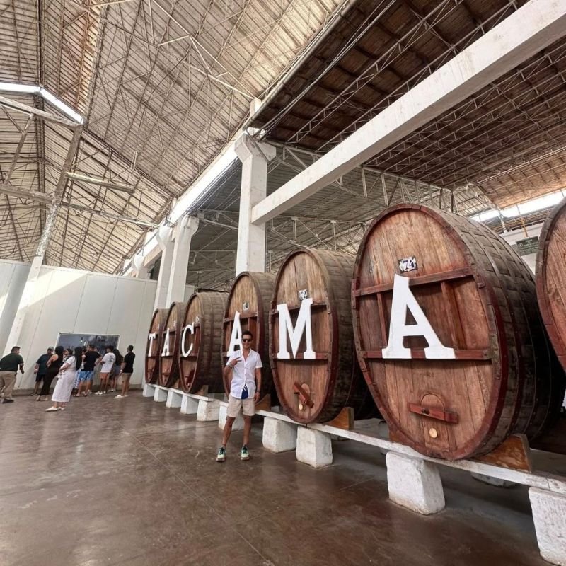 Paracas Ica con Viñedo Tacama Luxury