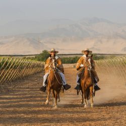 Paracas Ica Con Hacienda Caravedo