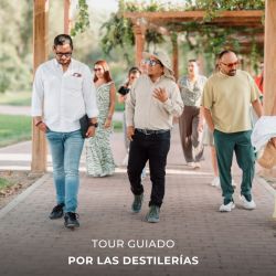 Parcas Ica Con Hacienda Caravedo