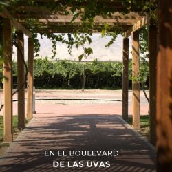 Paracas Ica Con Hacienda Caravedo